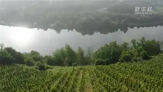 博彩-德国劲旅遭遇困境,惊现欧冠出局视频