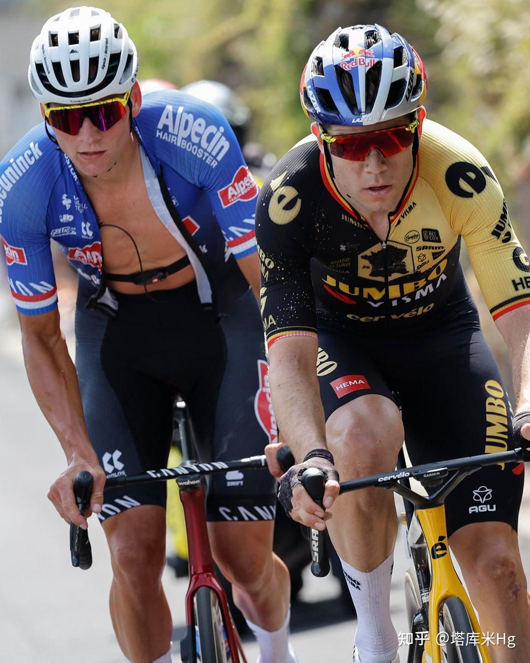 体育博彩app-马拉巴尔2021