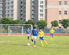 体育博彩app-搏击队伍